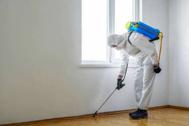 Best Local Pest Control Services  in Seven Fields, PA