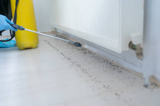 Best Commercial Pest Control Services  in Seven Fields, PA